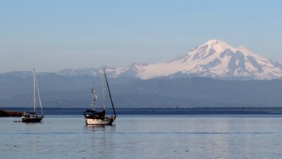 Boats Anchored in Puget Sound with Mount Rainier in the Background